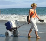 Beach Cart Foldling